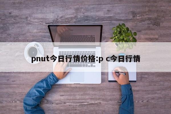 pnut今日行情价格:p c今日行情