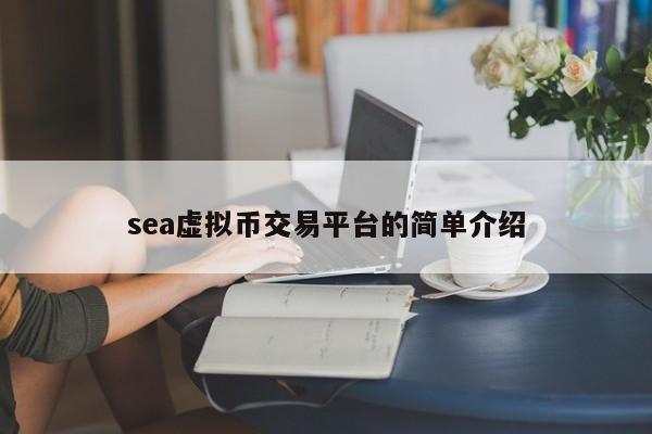 sea虚拟币交易平台的简单介绍