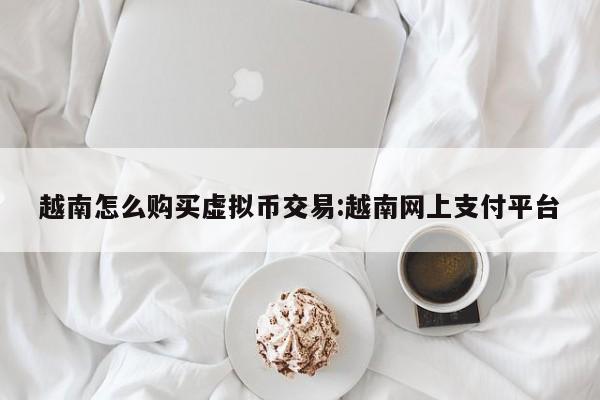 越南怎么购买虚拟币交易:越南网上支付平台