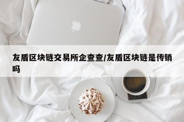 友盾区块链交易所企查查/友盾区块链是传销吗