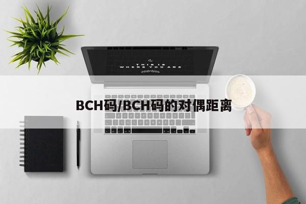 BCH码/BCH码的对偶距离