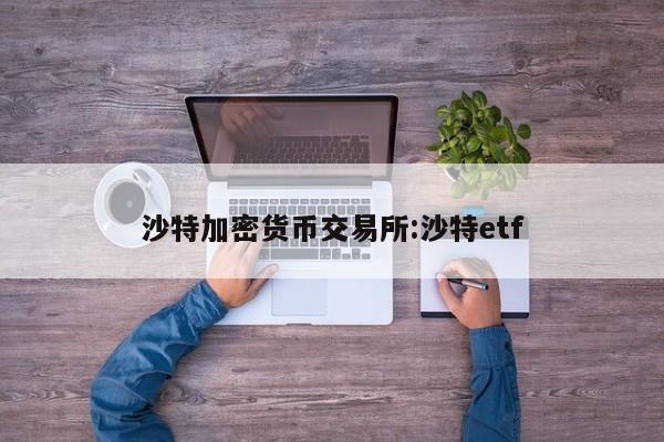 沙特加密货币交易所:沙特etf