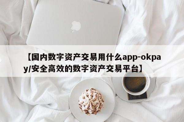 【国内数字资产交易用什么app-okpay/安全高效的数字资产交易平台】