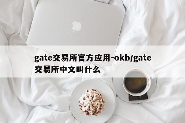 gate交易所官方应用-okb/gate交易所中文叫什么