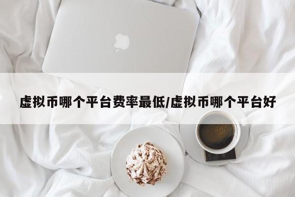 虚拟币哪个平台费率最低/虚拟币哪个平台好