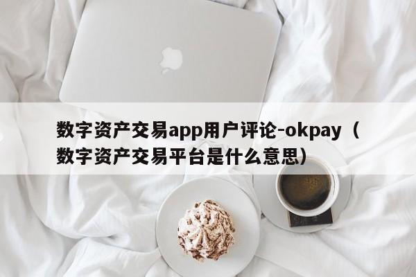数字资产交易app用户评论-okpay(数字资产交易平台是什么意思)