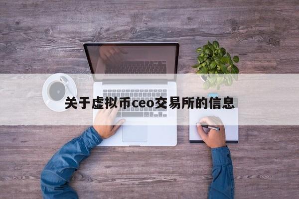 关于虚拟币ceo交易所的信息