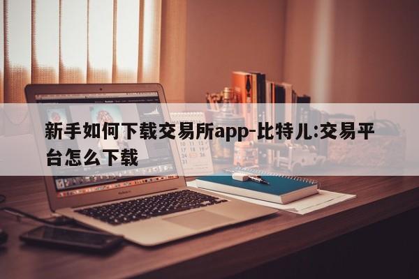 新手如何下载交易所app-比特儿:交易平台怎么下载