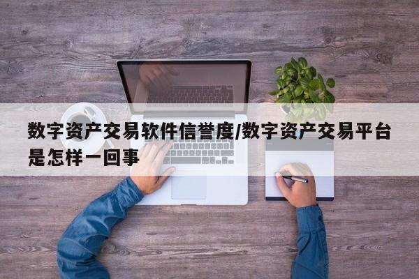 数字资产交易软件信誉度/数字资产交易平台是怎样一回事