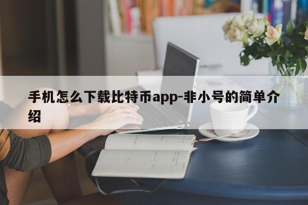 手机怎么下载比特币app-非小号的简单介绍