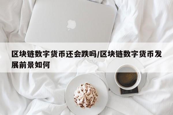 区块链数字货币还会跌吗/区块链数字货币发展前景如何