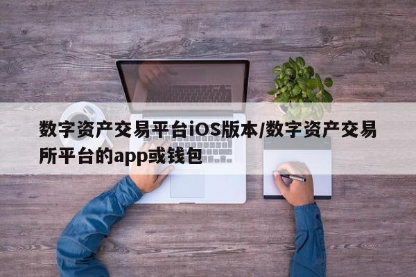 数字资产交易平台iOS版本/数字资产交易所平台的app或钱包
