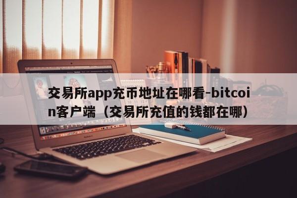 交易所app充币地址在哪看-bitcoin客户端(交易所充值的钱都在哪)