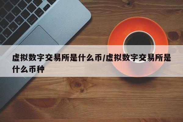 虚拟数字交易所是什么币/虚拟数字交易所是什么币种