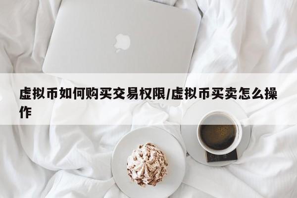 虚拟币如何购买交易权限/虚拟币买卖怎么操作