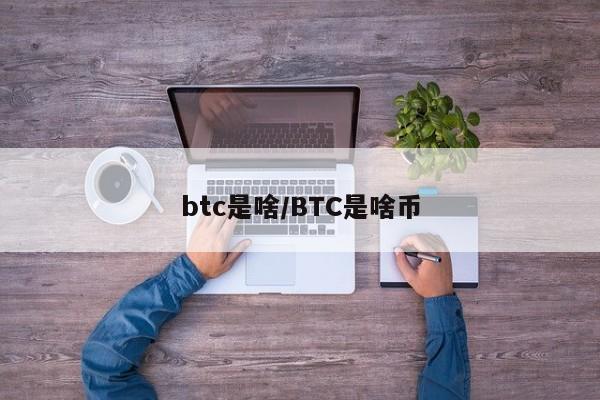 btc是啥/BTC是啥币