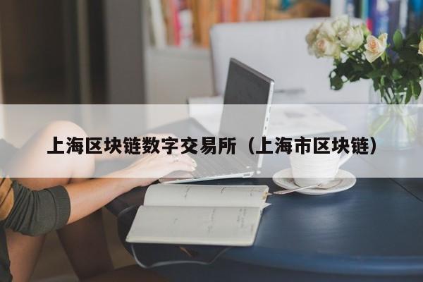 上海区块链数字交易所(上海市区块链)