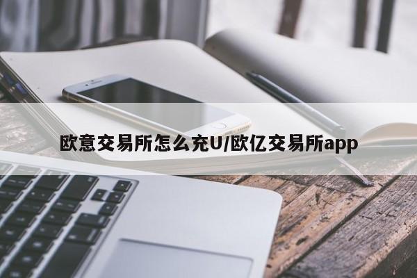 欧意交易所怎么充U/欧亿交易所app